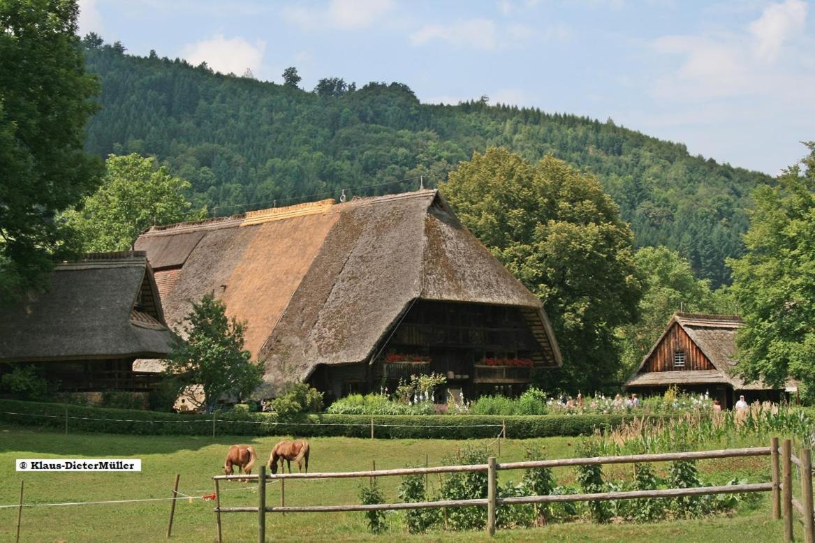 Haus Am Waldrand Villa Triberg im Schwarzwald Dış mekan fotoğraf