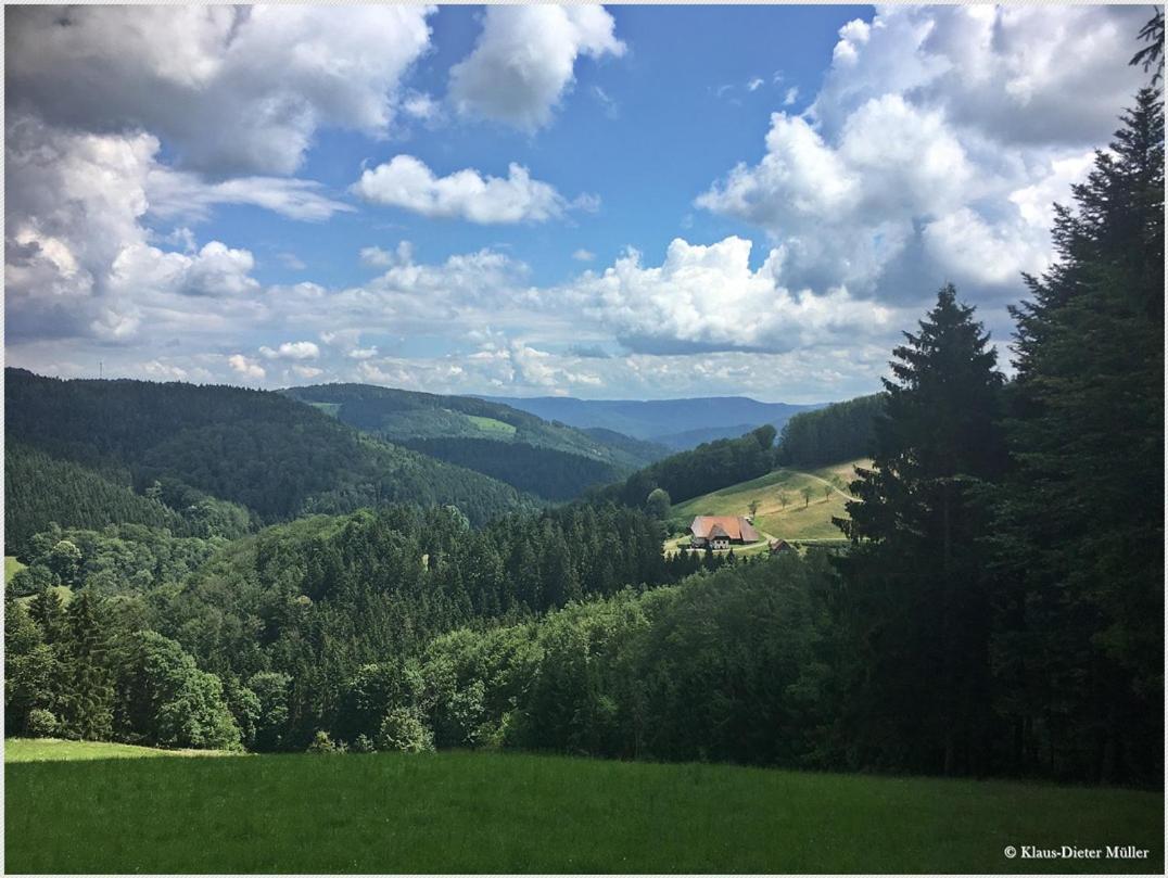 Haus Am Waldrand Villa Triberg im Schwarzwald Dış mekan fotoğraf