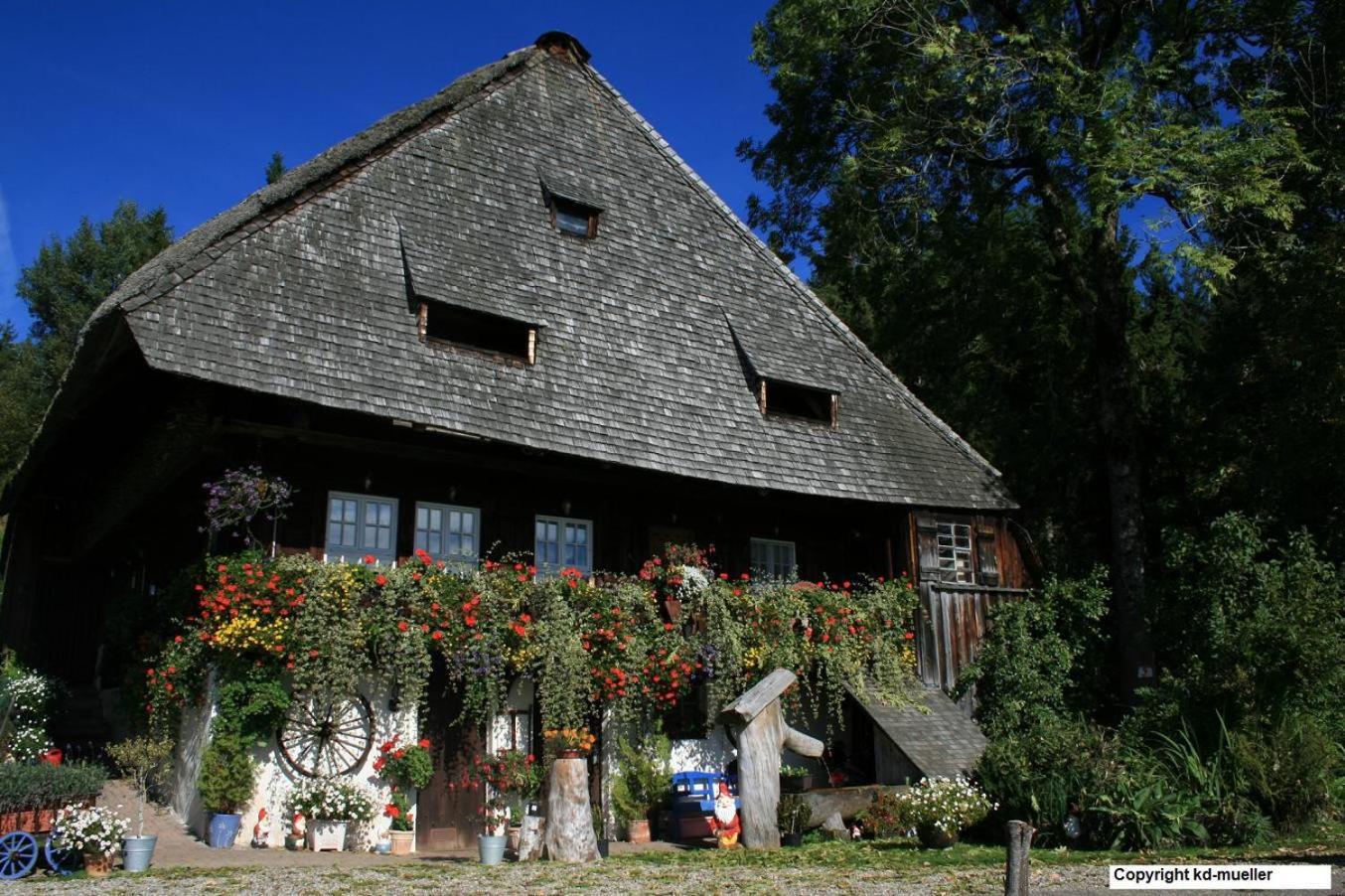 Haus Am Waldrand Villa Triberg im Schwarzwald Dış mekan fotoğraf