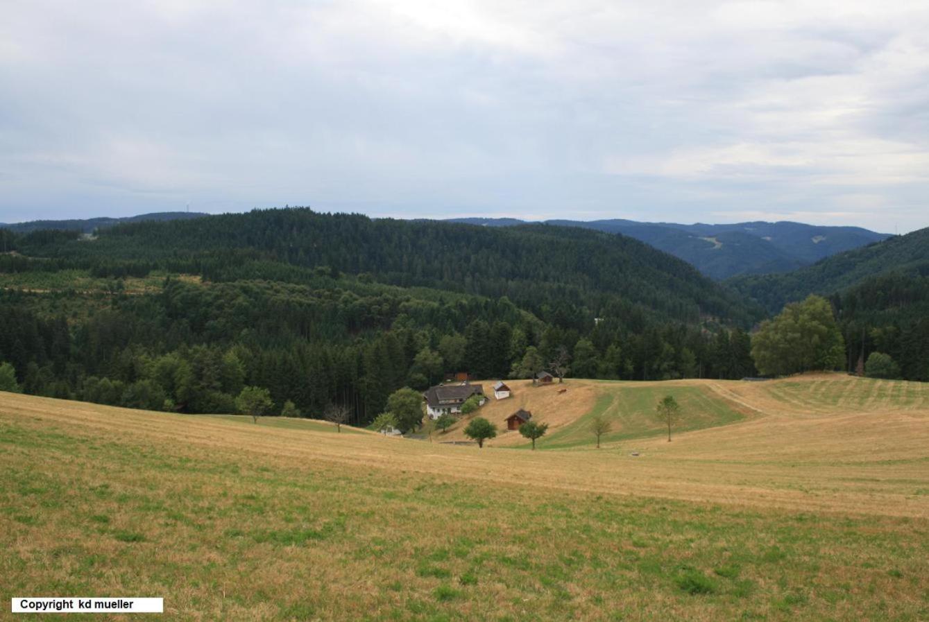 Haus Am Waldrand Villa Triberg im Schwarzwald Dış mekan fotoğraf