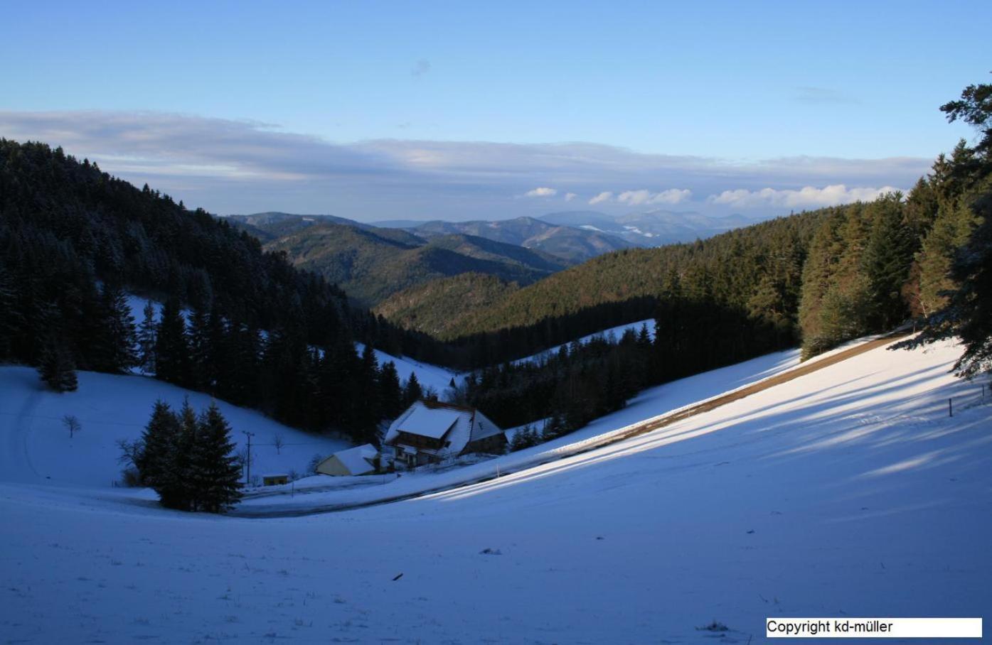 Haus Am Waldrand Villa Triberg im Schwarzwald Dış mekan fotoğraf