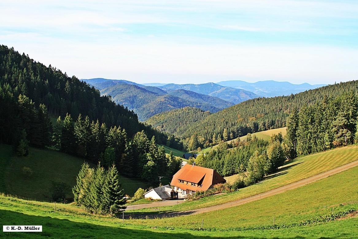 Haus Am Waldrand Villa Triberg im Schwarzwald Dış mekan fotoğraf