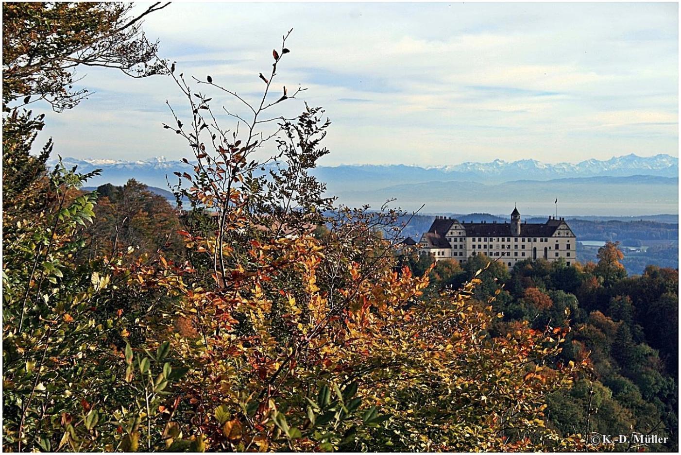Haus Am Waldrand Villa Triberg im Schwarzwald Dış mekan fotoğraf