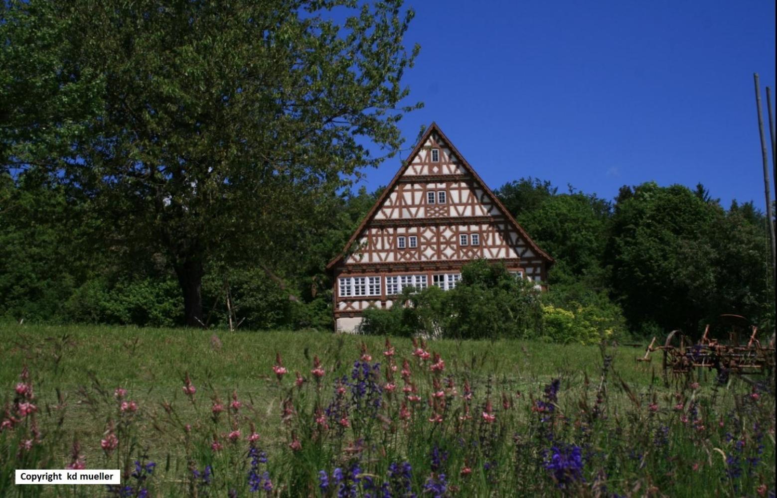 Haus Am Waldrand Villa Triberg im Schwarzwald Dış mekan fotoğraf