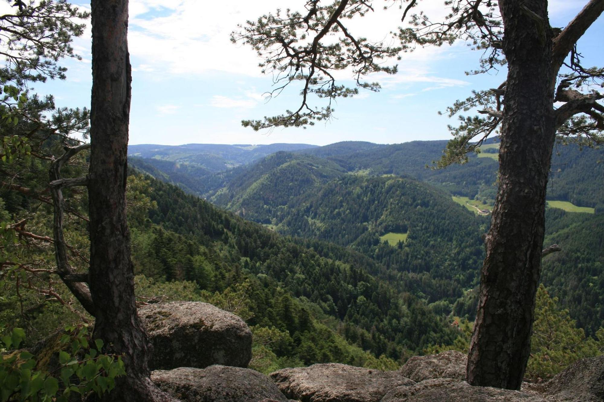 Haus Am Waldrand Villa Triberg im Schwarzwald Dış mekan fotoğraf