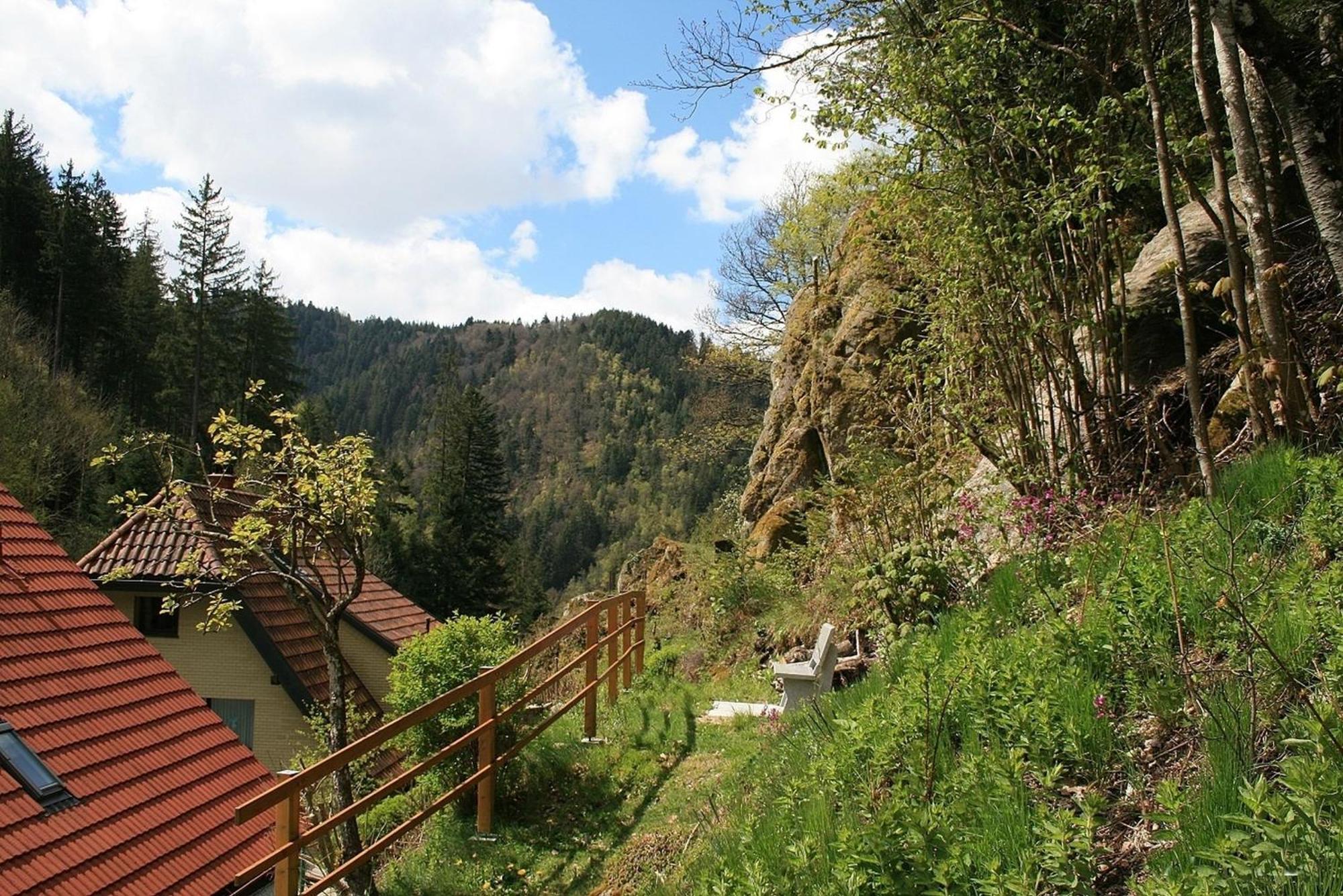 Haus Am Waldrand Villa Triberg im Schwarzwald Dış mekan fotoğraf
