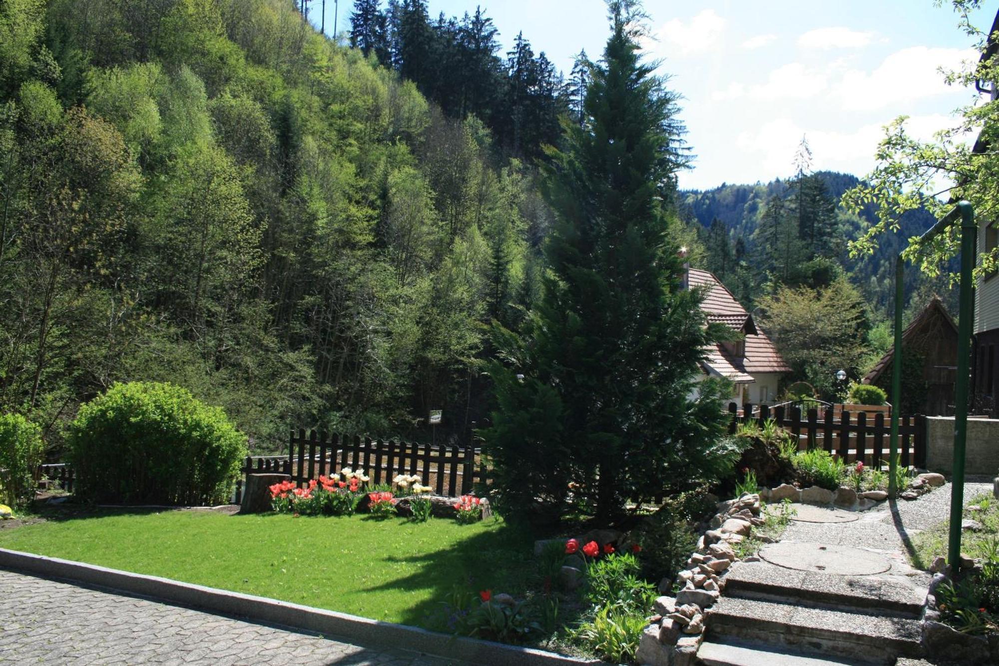 Haus Am Waldrand Villa Triberg im Schwarzwald Dış mekan fotoğraf