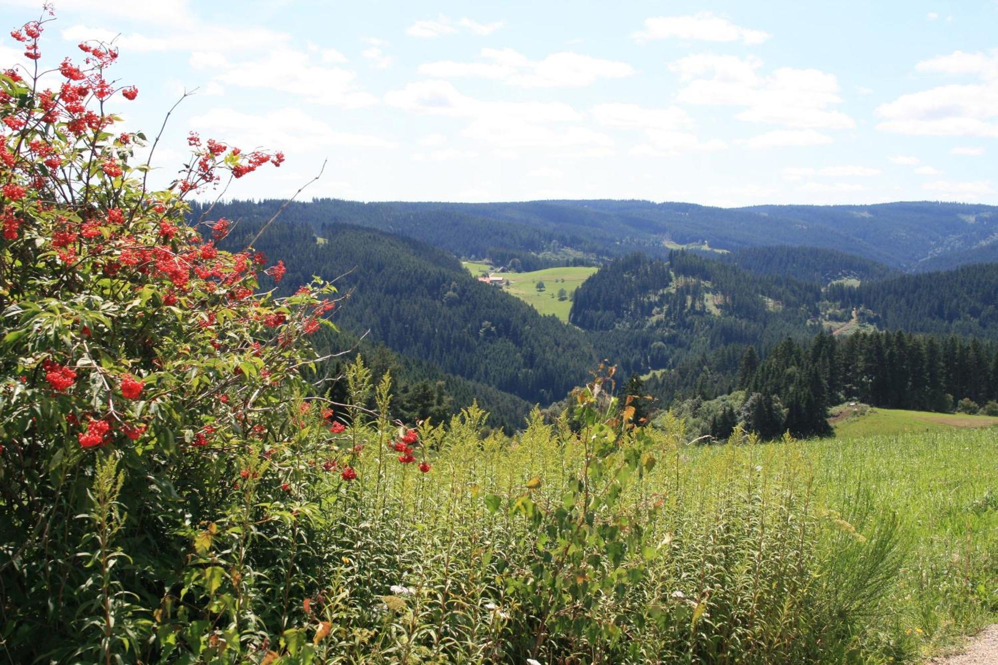 Haus Am Waldrand Villa Triberg im Schwarzwald Dış mekan fotoğraf